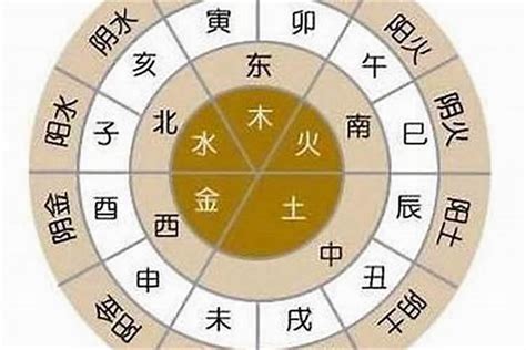 乙卯年五行|乙卯年五行属性 乙卯年生人命运